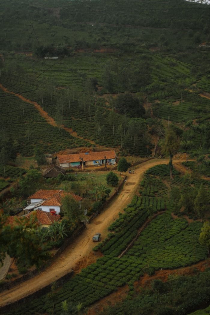Stunning aerial view of Idukki's lush countryside with extensive fields and rustic homes.