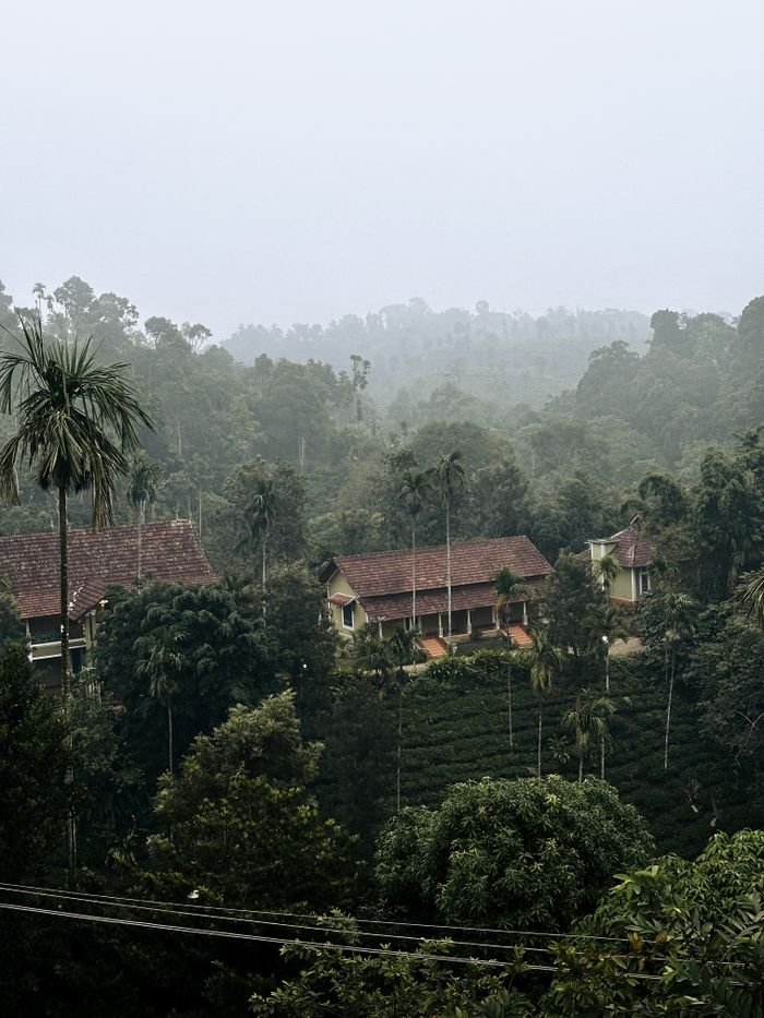 Discover a serene eco resort nestled in a dense tropical forest, offering tranquility and natural beauty.